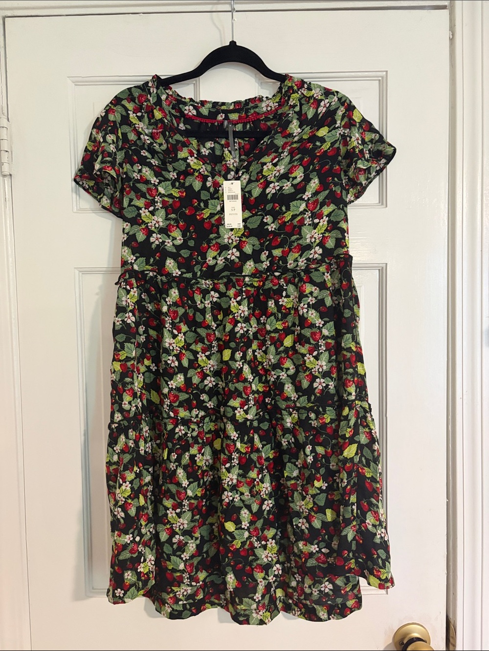 Anthropologie Black Dress with Red Floral and Green Leaf Print